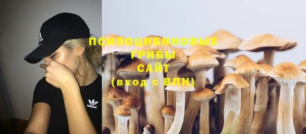 бошки Кукмор