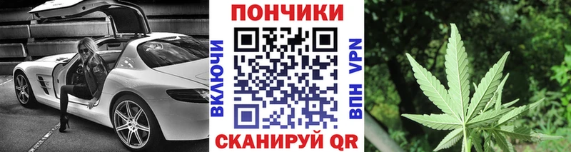 Бошки марихуана Bruce Banner Королёв